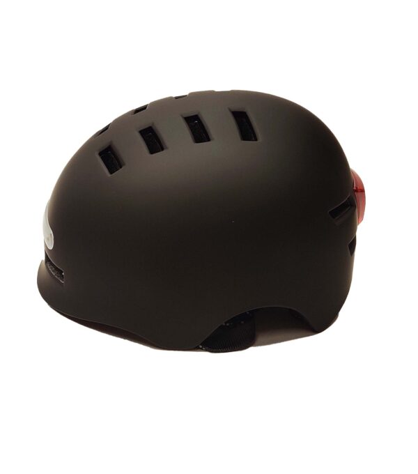 salmas su zibintais 1