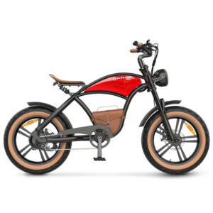 Hidoes B10 20 inch electric bike 2 min 400x@2x