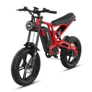 Hidoes B6 Fat tire electric bike 1200w electric bike adults 20 inch electric bike min 535x Copy