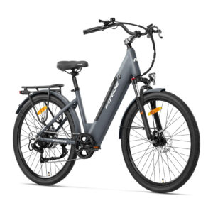 Electricride lt Foride Roamer 1 ST elektrinis dviratis pilkas 02 1000x1000 1